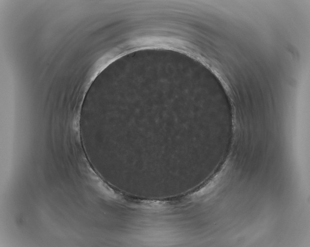 X0000113161529200909041244