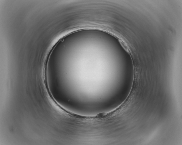 X0000113161531200909041244