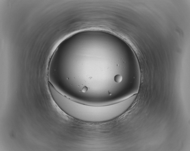 X0000113161532200909041244