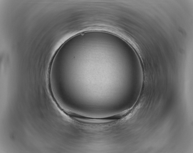 X0000113161533200909041244