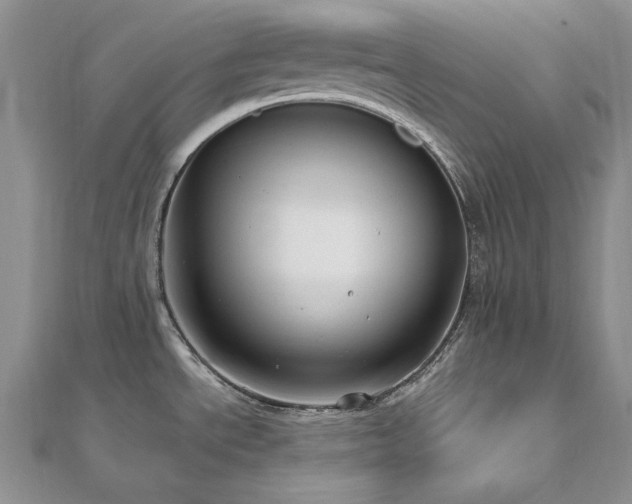 X0000113161534200909041244