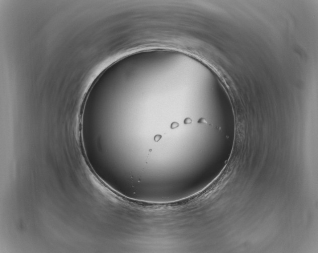 X0000113161535200909041244