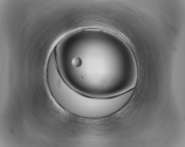 X0000113161536200909041244
