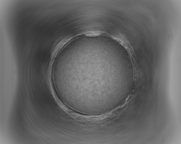 X0000113160001200909111024