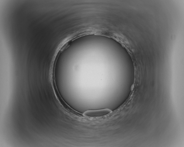 X0000113160003200909111024