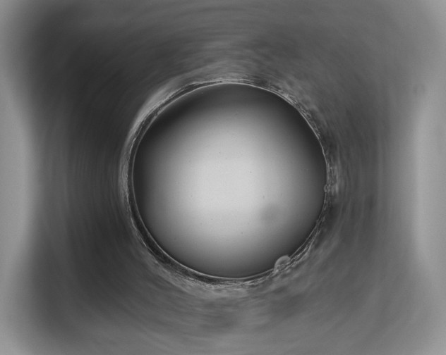 X0000113160004200909111024