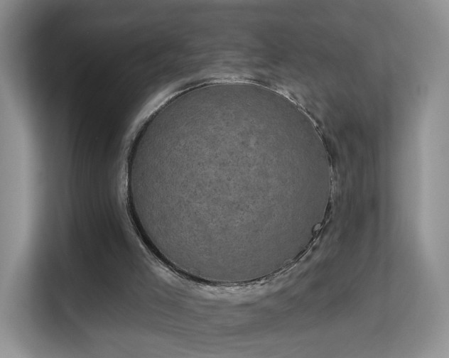 X0000113160005200909111024