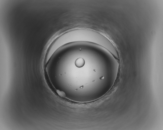 X0000113160007200909111024