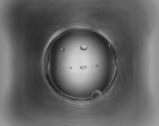 X0000113160008200909111024