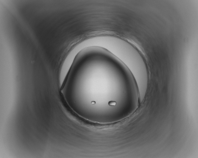 X0000113160013200909111023