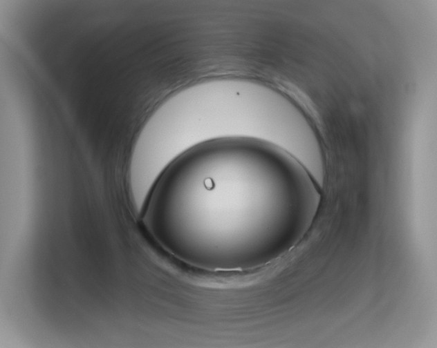 X0000113160017200909111023