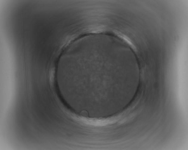 X0000113160018200909111023