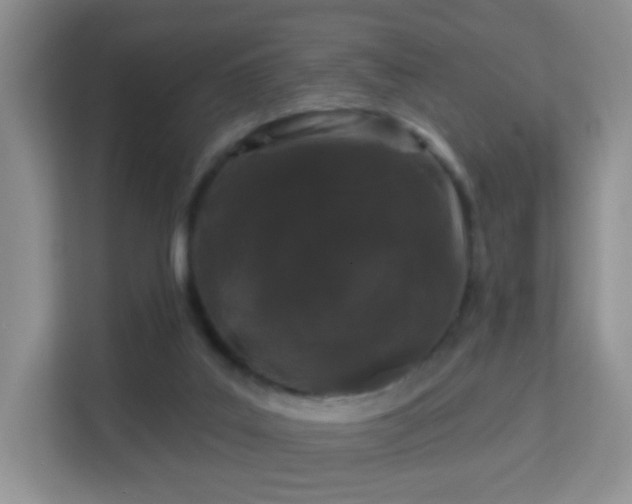 X0000113160019200909111023