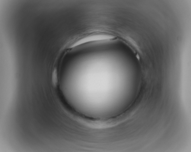 X0000113160020200909111023