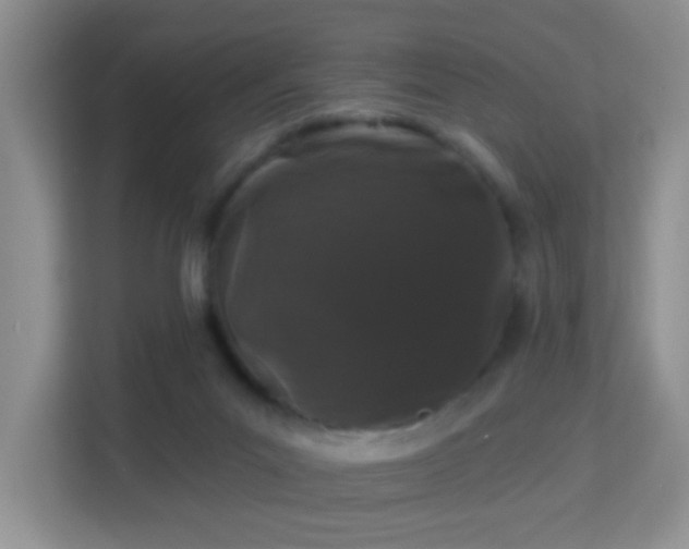 X0000113160023200909111023