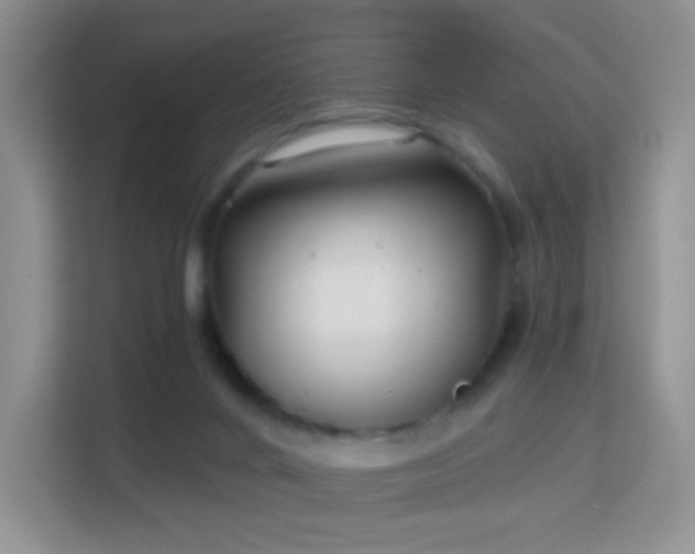 X0000113160024200909111023