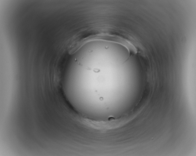 X0000113160030200909111023