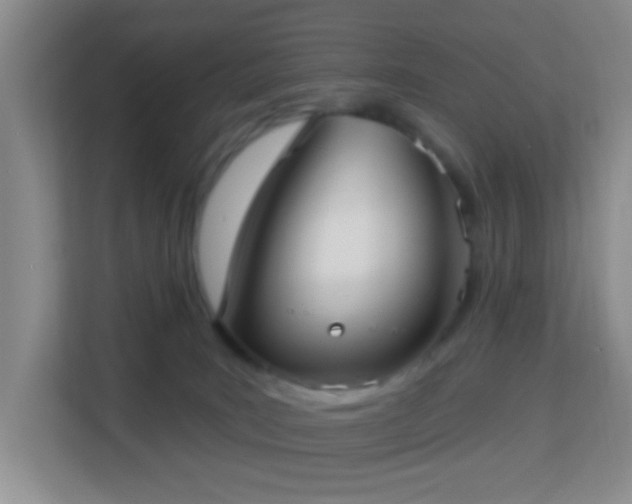 X0000113160035200909111023