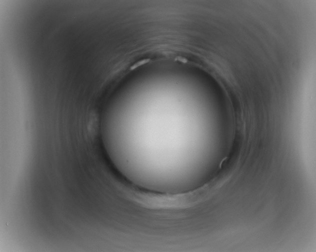 X0000113160036200909111023