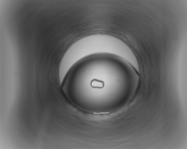 X0000113160037200909111023