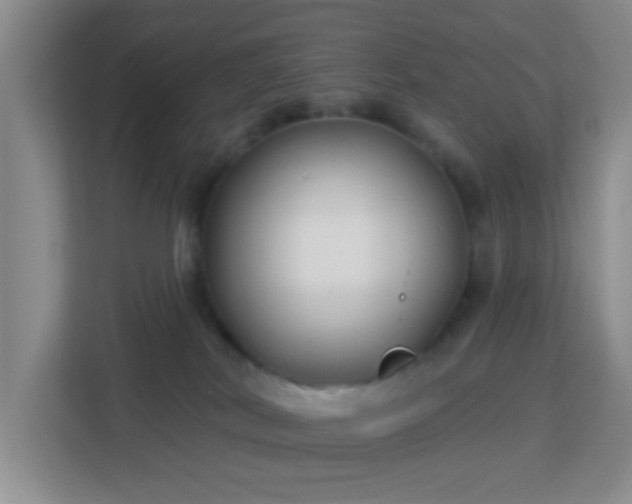 X0000113160038200909111023