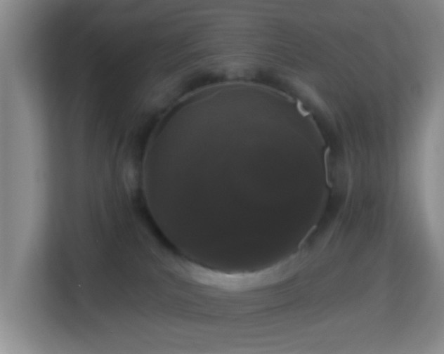 X0000113160039200909111023