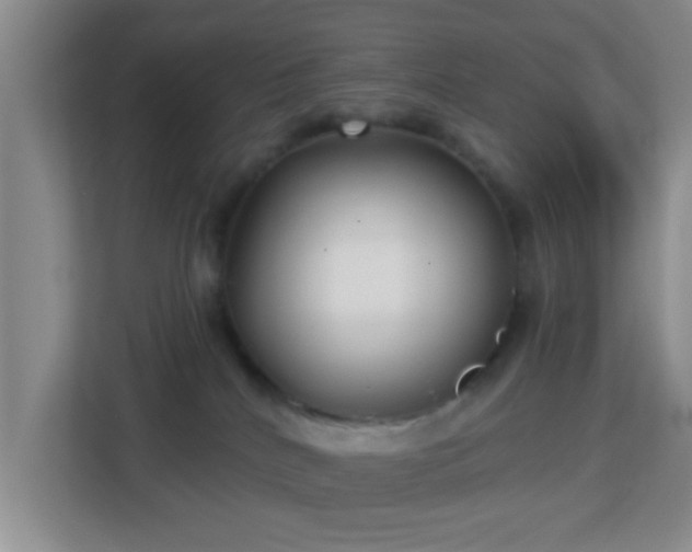 X0000113160040200909111023