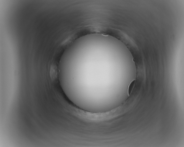 X0000113160043200909111023