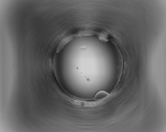 X0000113160048200909111023