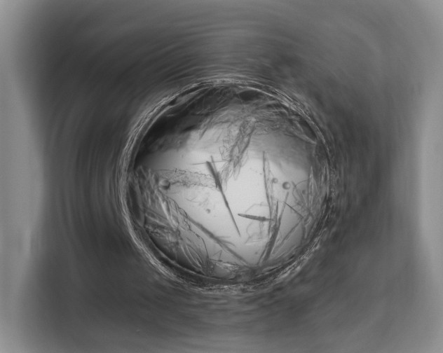 X0000113160049200909111022