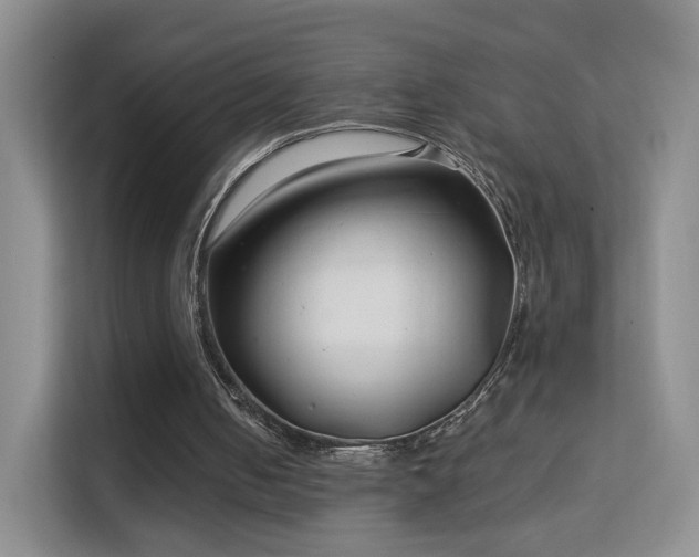 X0000113160050200909111022