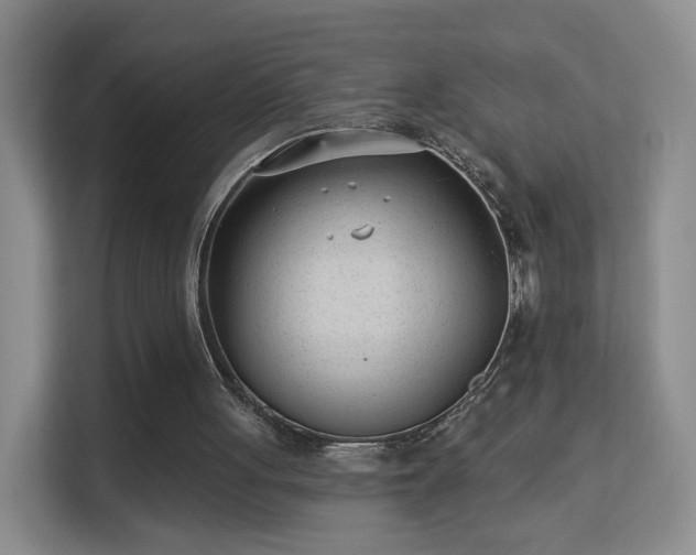 X0000113160051200909111022