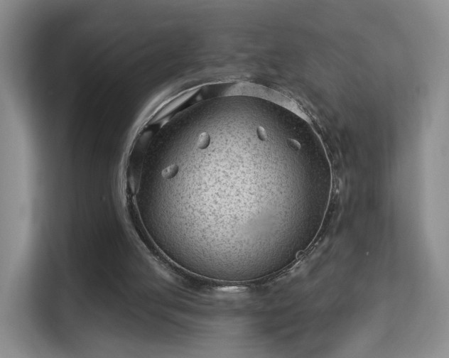 X0000113160053200909111022