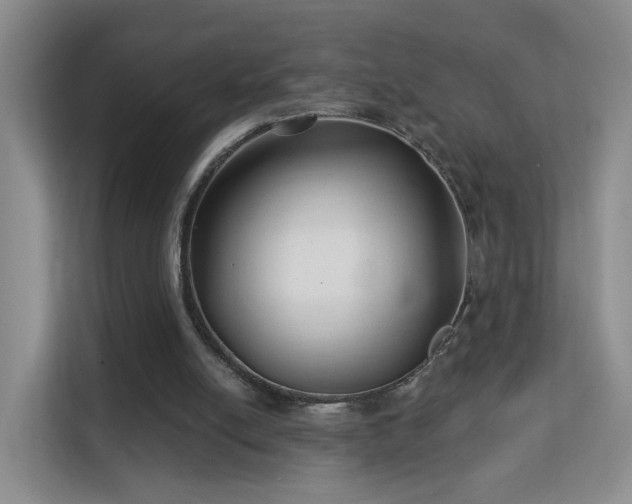 X0000113160054200909111022