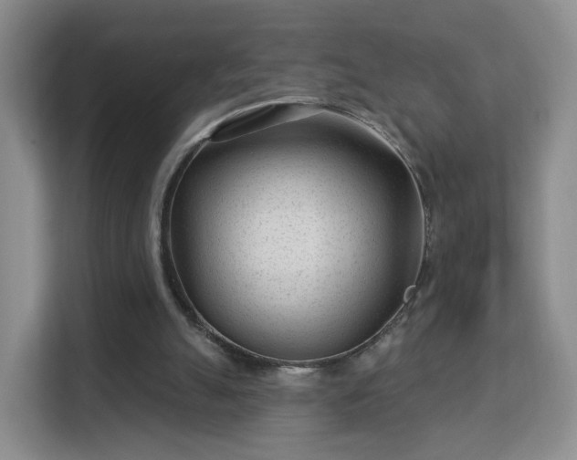 X0000113160055200909111022