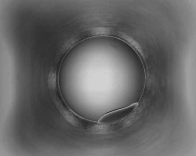 X0000113160057200909111023