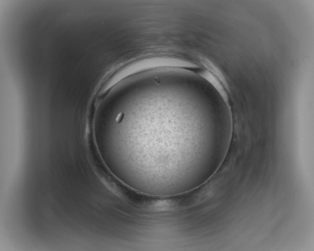 X0000113160059200909111023