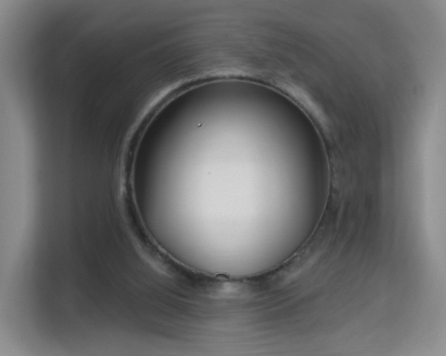 X0000113160060200909111023