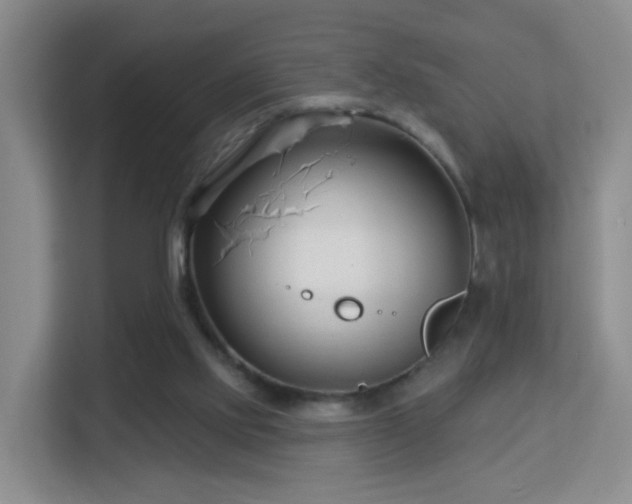 X0000113160061200909111023