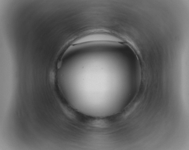 X0000113160063200909111023