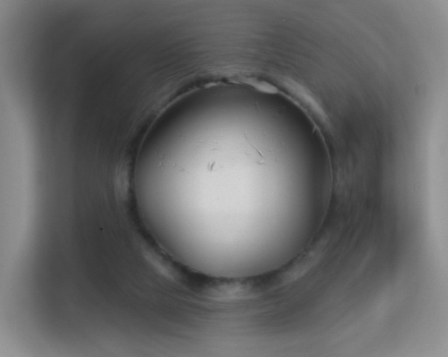 X0000113160065200909111023