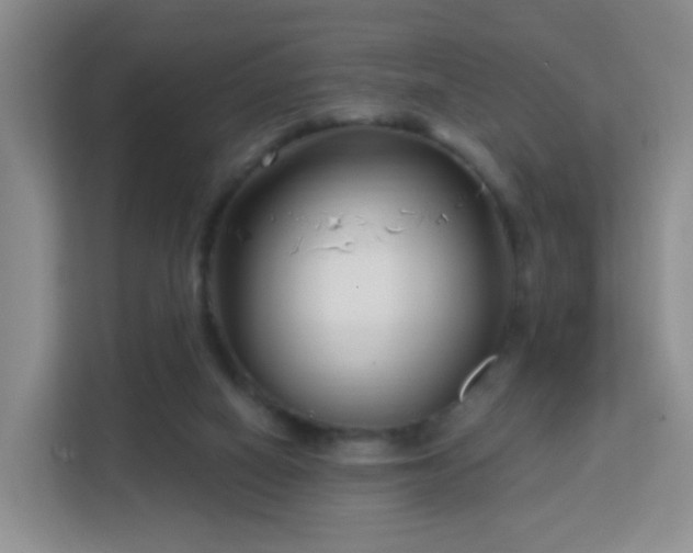 X0000113160066200909111023