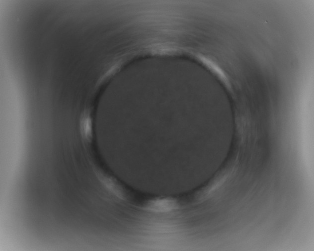 X0000113160067200909111023