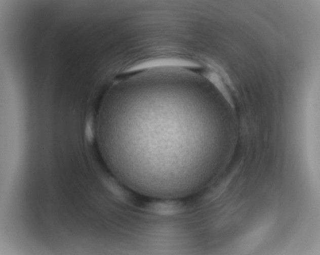 X0000113160069200909111023