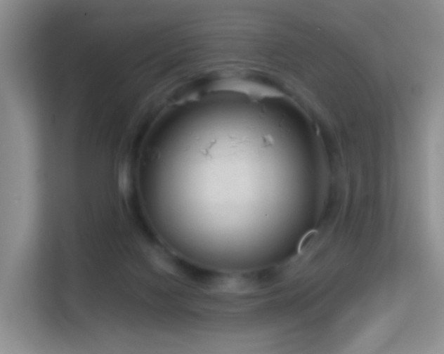 X0000113160074200909111023