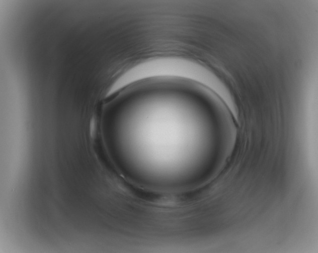 X0000113160076200909111023