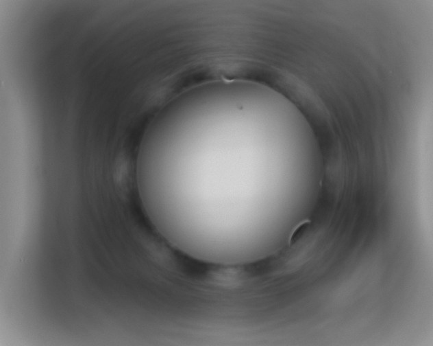 X0000113160079200909111023