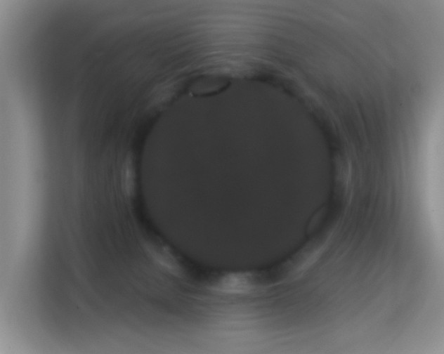 X0000113160080200909111023