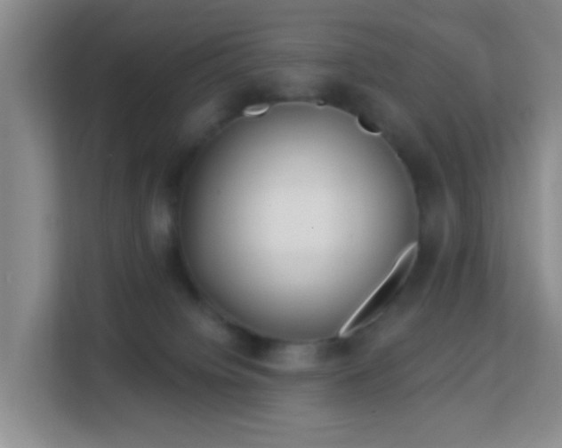 X0000113160084200909111023