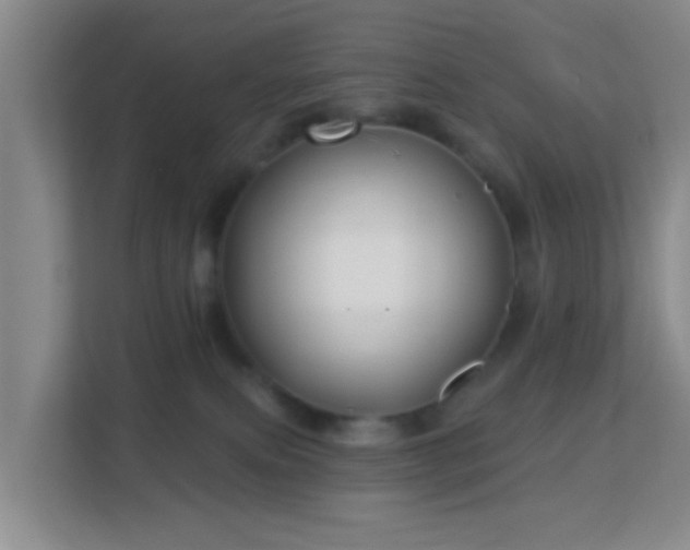 X0000113160087200909111023